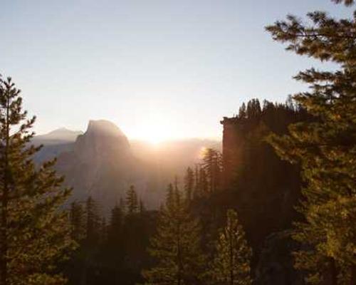 I Wish It Wasn’t My Job to Ask You About Jelly