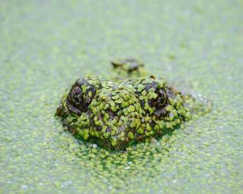 Love HEATED RIVALRY? Here Are the Top 20 Queer Sports Romances on Libby