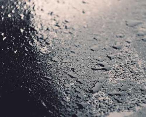 7 Books About Very Hungry Women