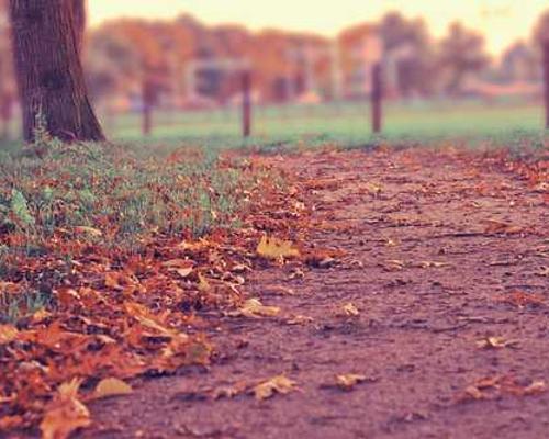 9 Books That Practice Queer Ecology
