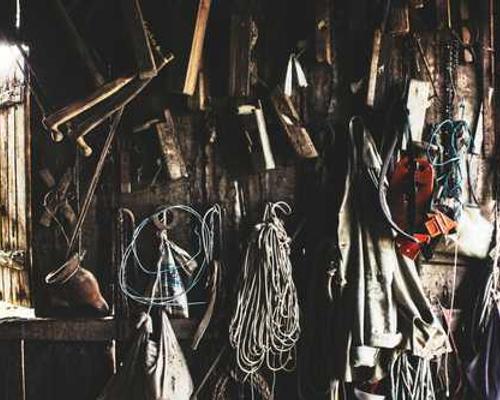 8 Moving and Meaningful Nonfiction Books About Pets